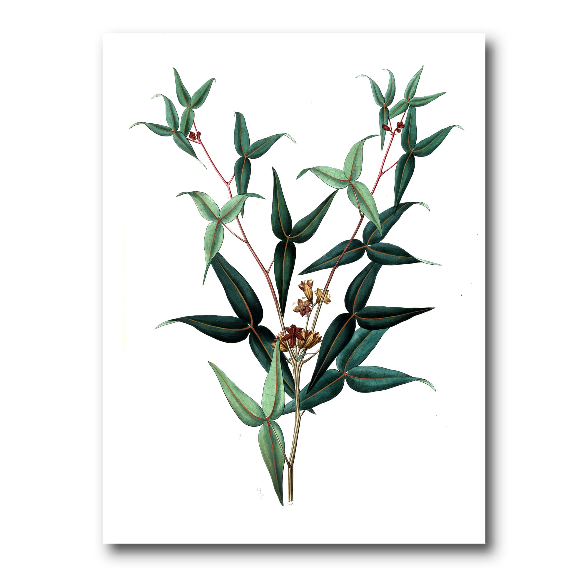 Designart - Vintage Green Leaves Plants VIII - Traditional Canvas Wall Art Print