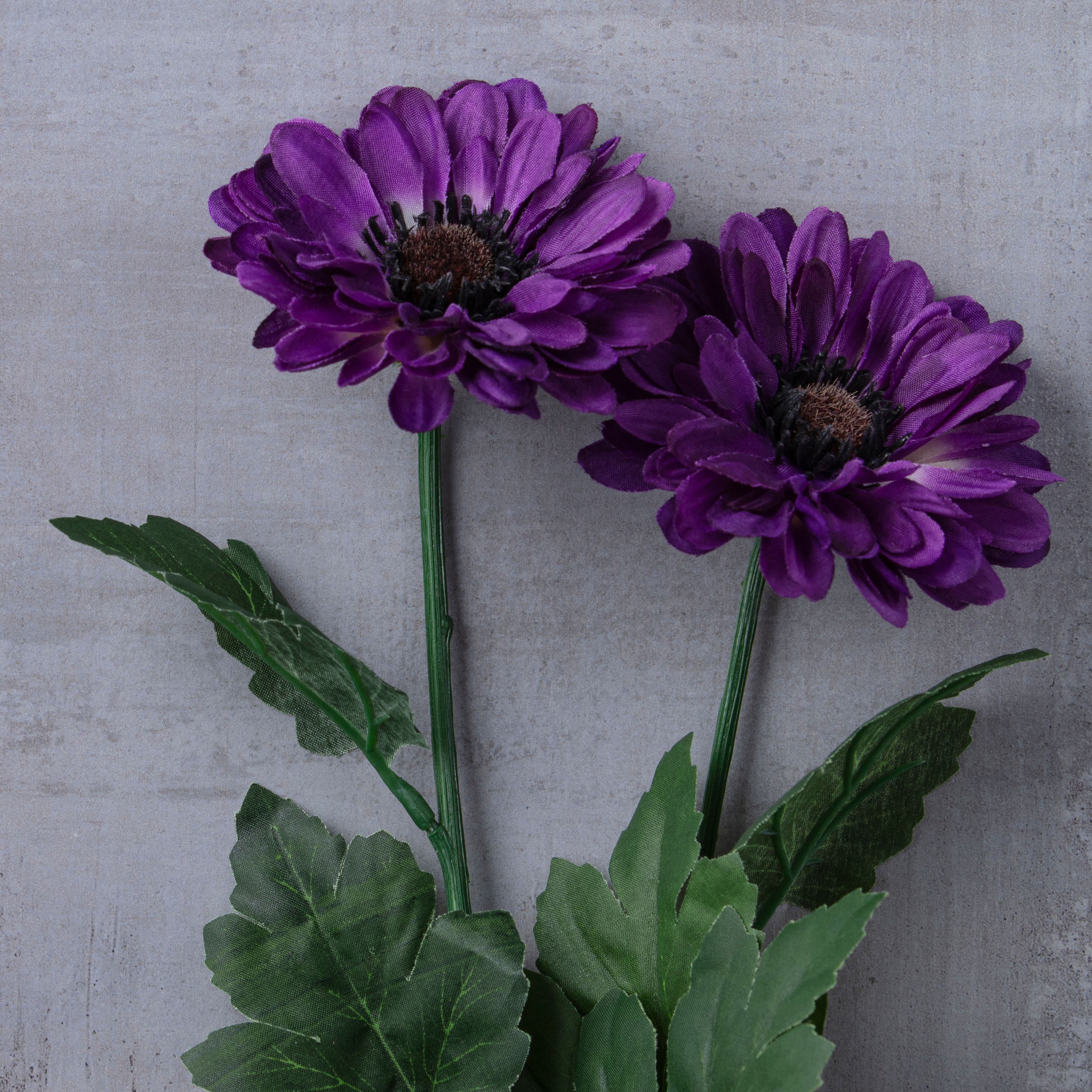 12 Pack: Purple Zinnia Mum Spray by Ashland®
