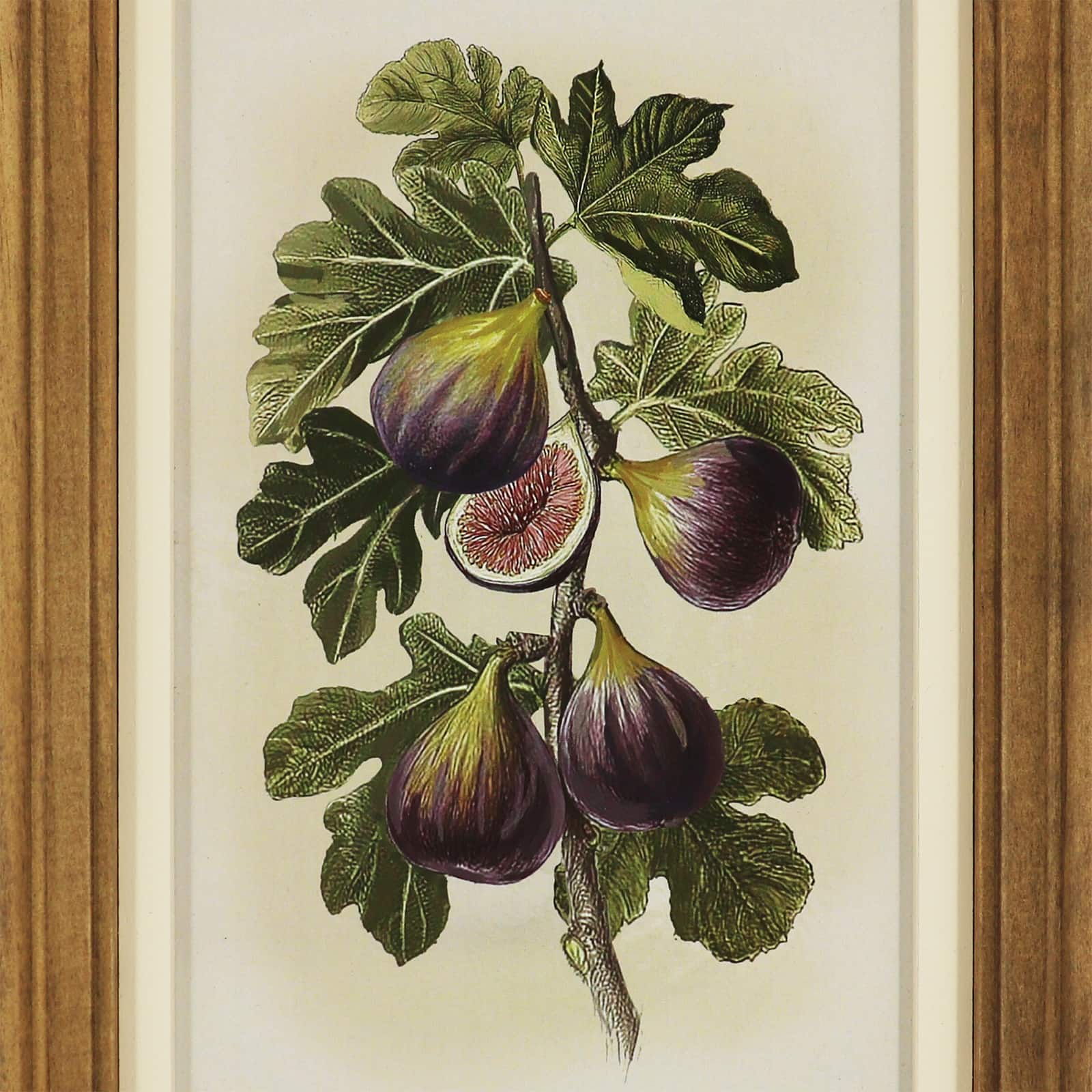 7" x 11.5" Fig Wall Art Décor by Ashland®
