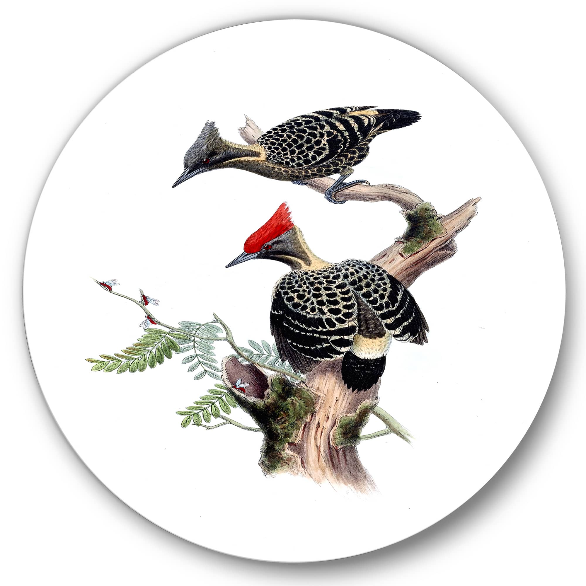Designart - Vintage Birds In The Wild VI - Traditional Metal Circle Wall Art