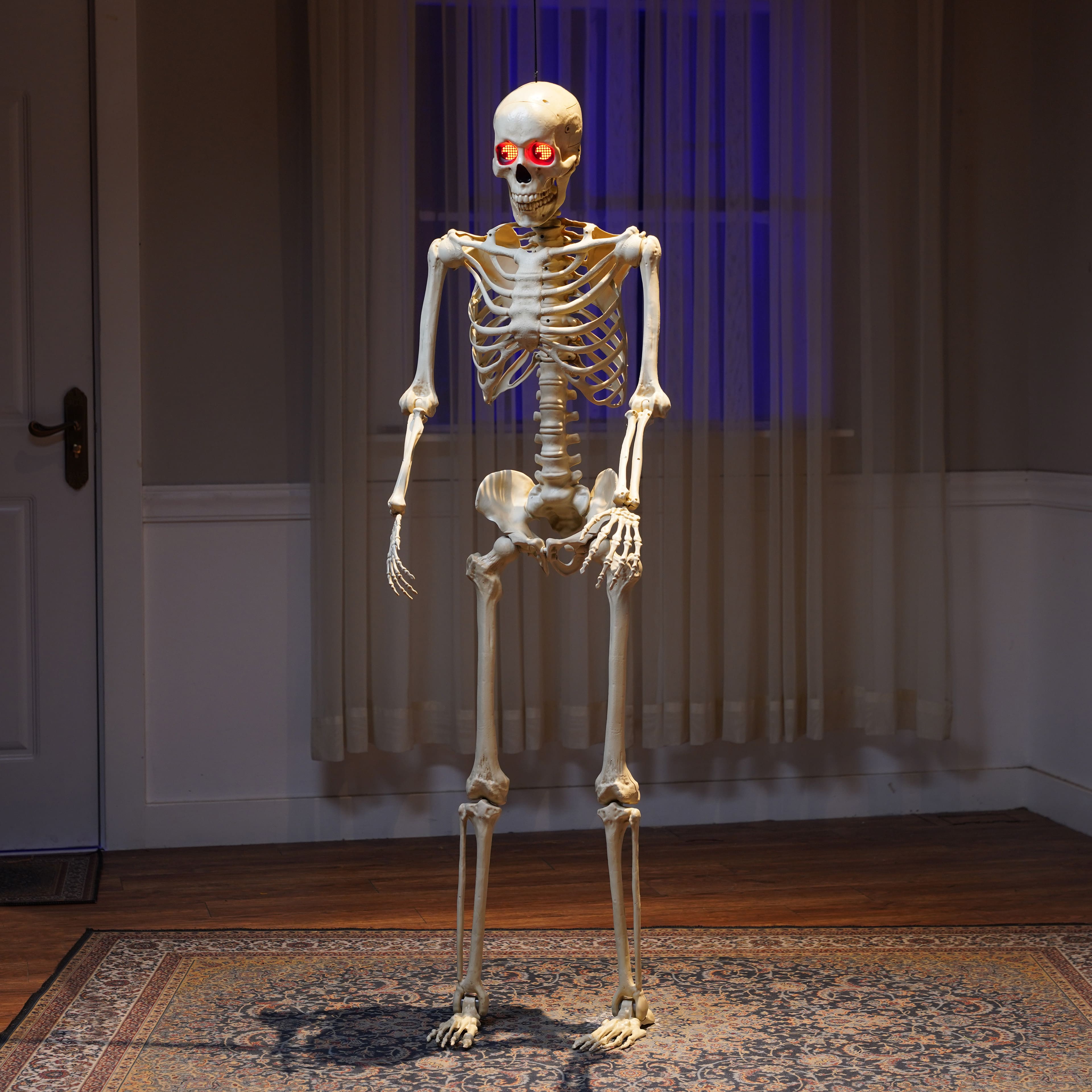 5ft. Light Up Eyes Skeleton by Ashland®