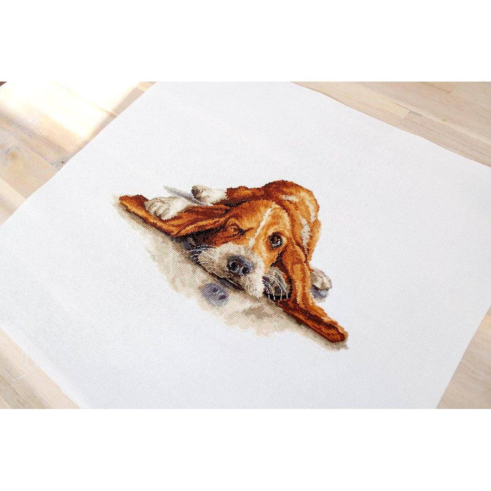 Luca-s Basset Counted Cross Stitch Kit