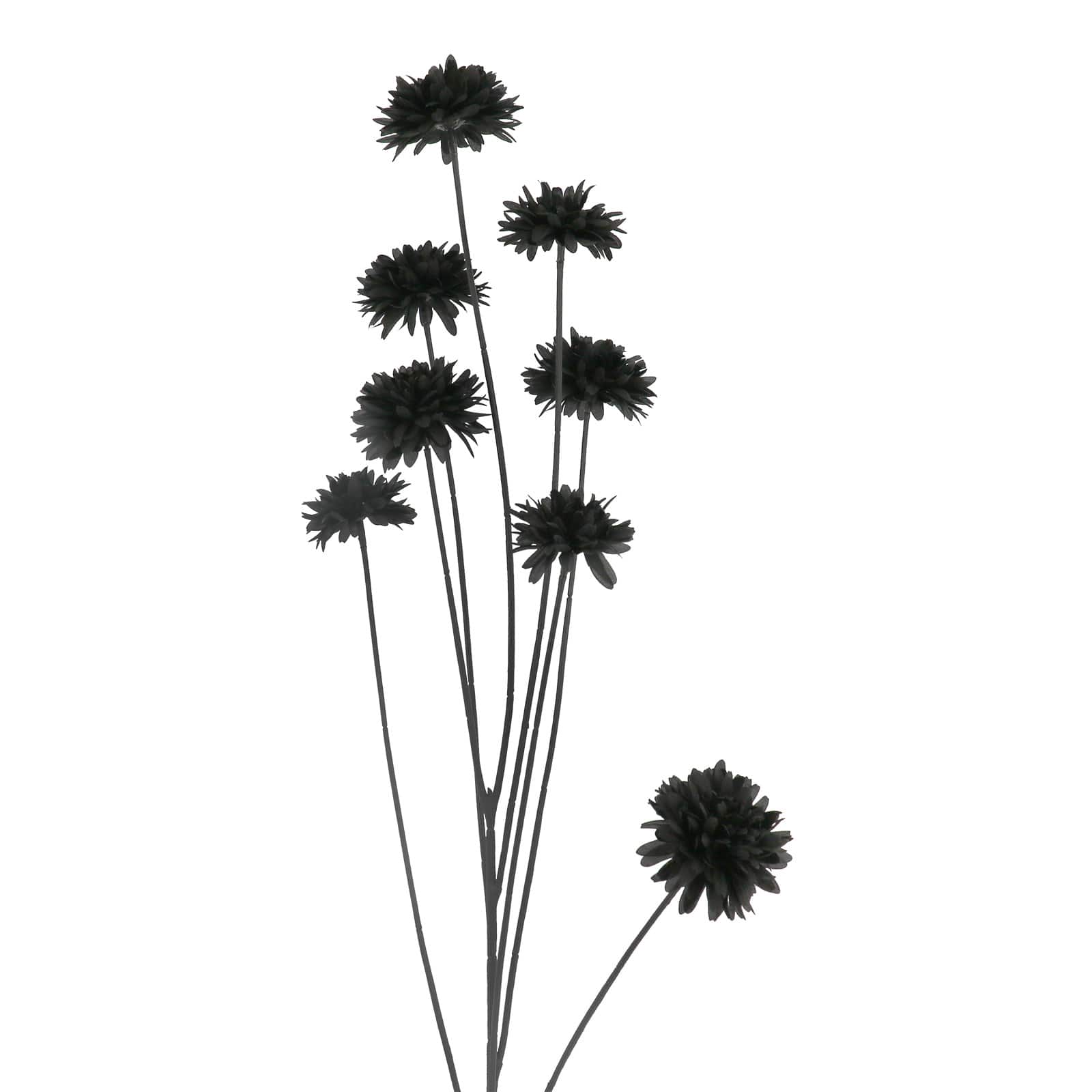 46" Multi Daisy Oversized Stem by Ashland