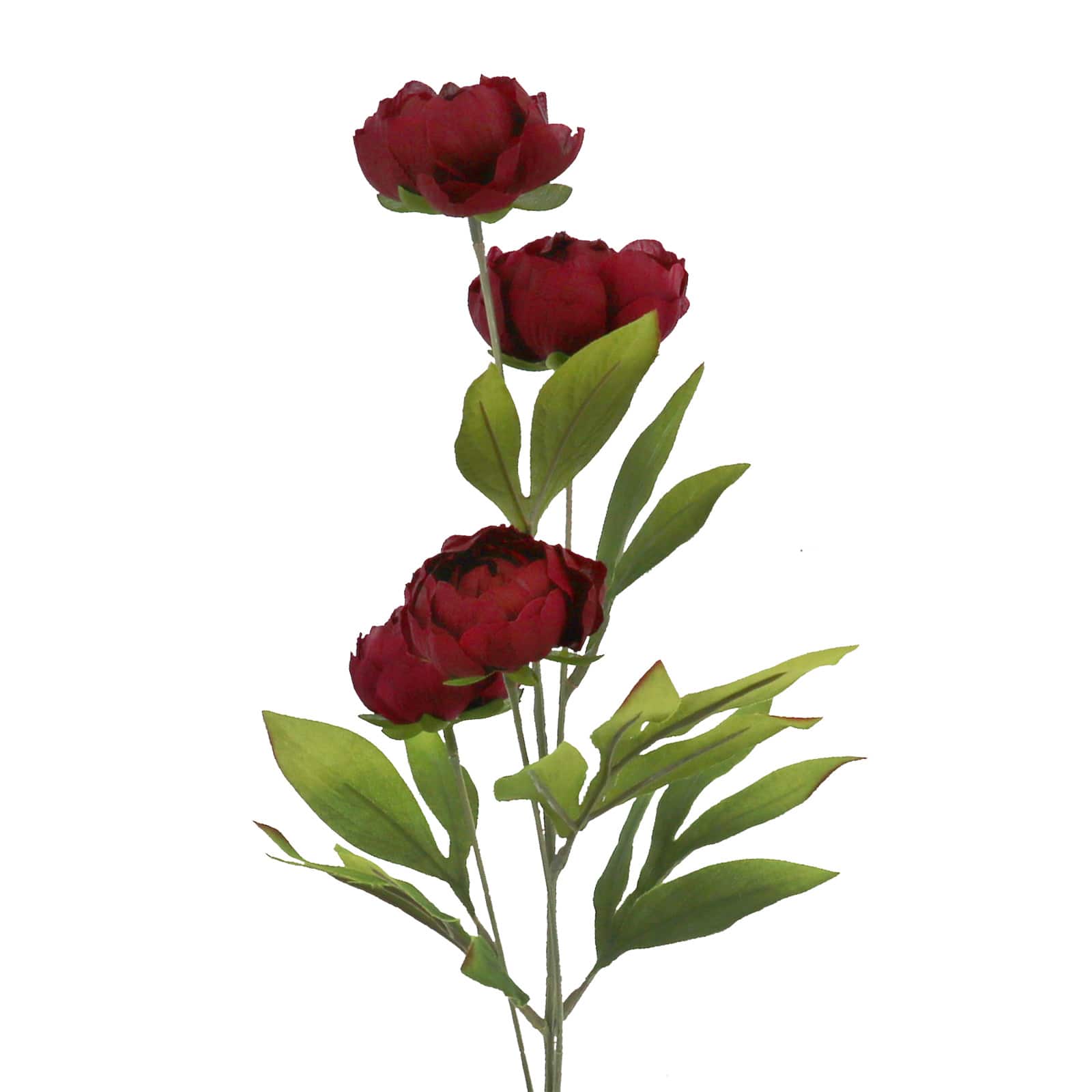 28" Burgundy Peony Stem by Ashland®