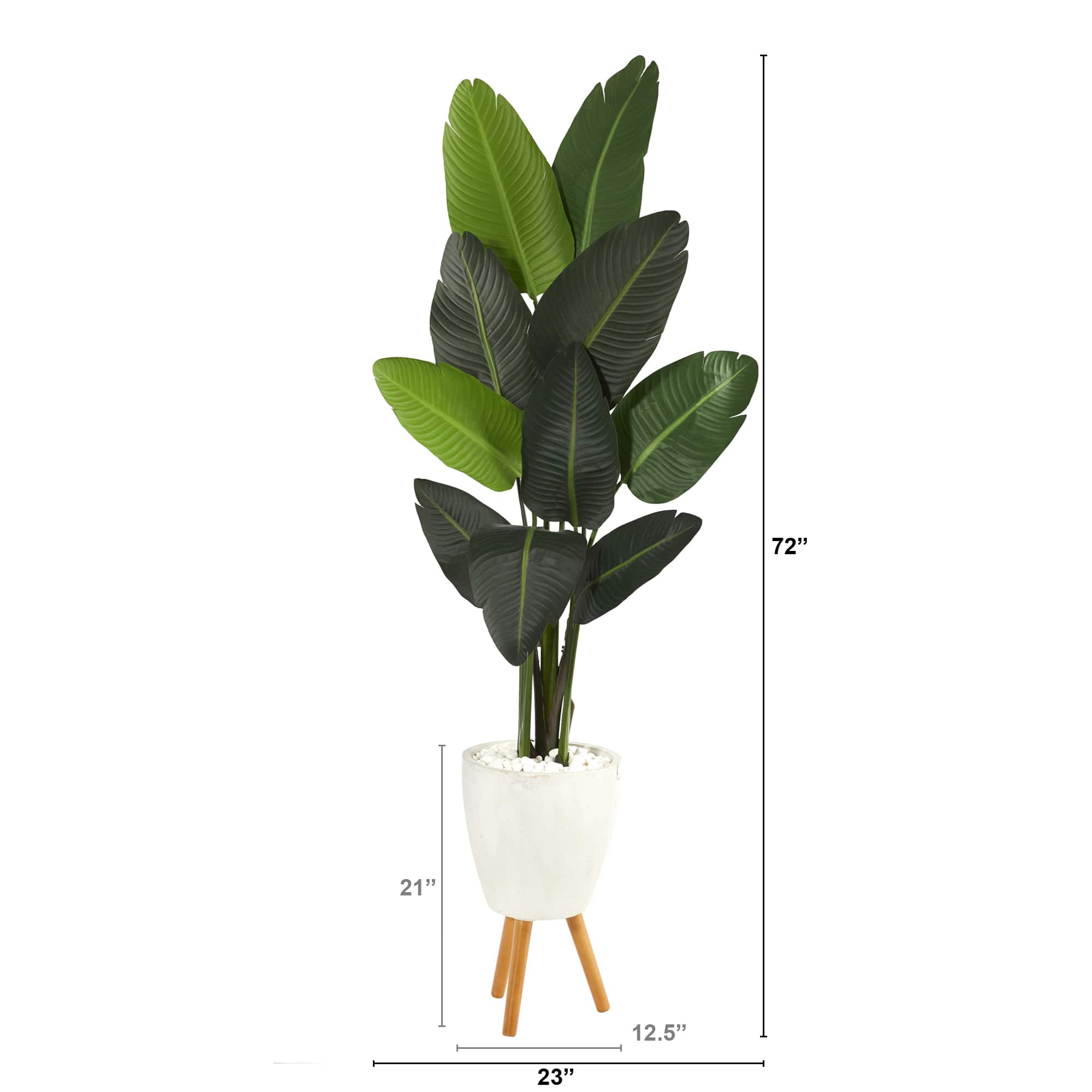 6ft. Travelers Palm Tree in White Planter with Stand