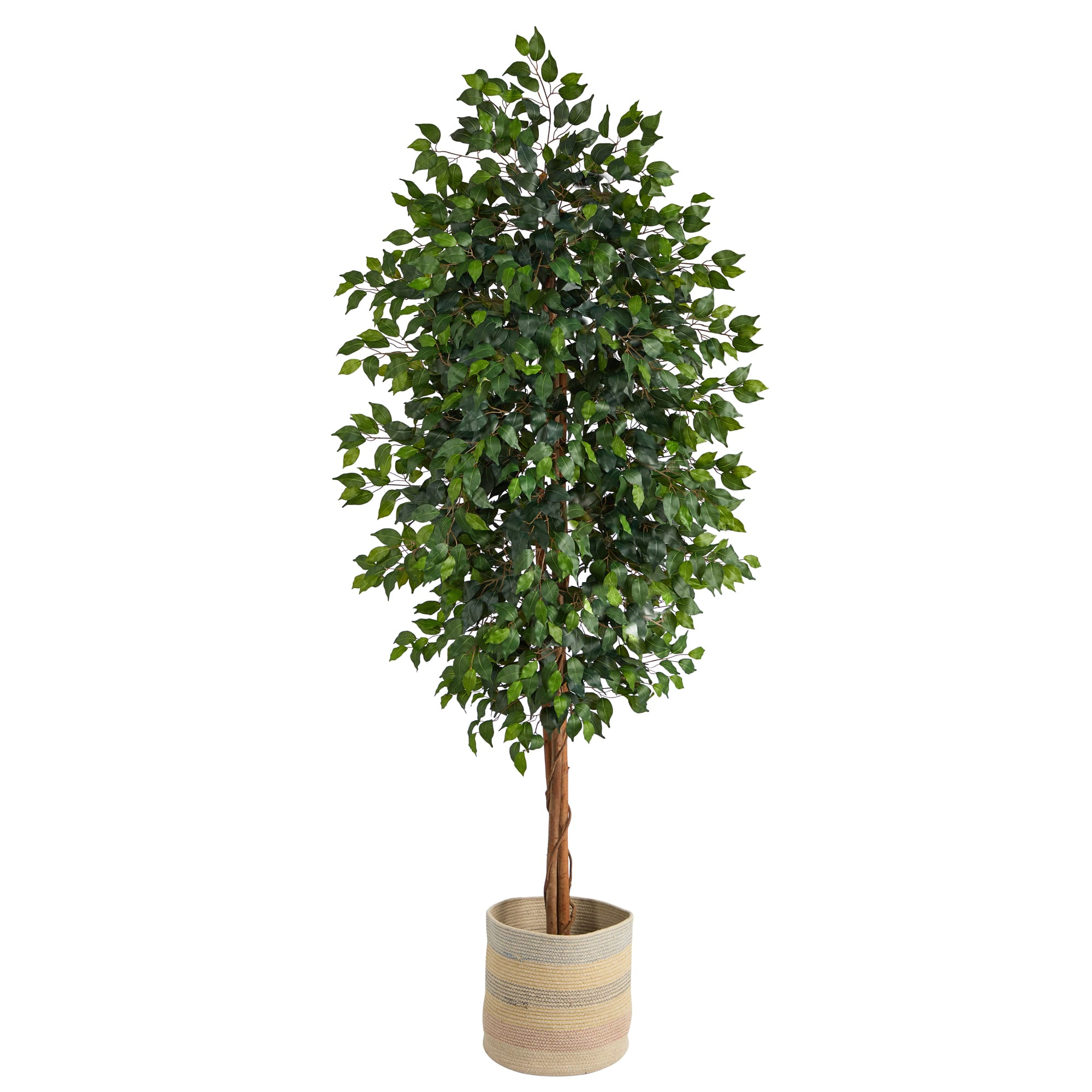 8ft. Ficus Artificial Tree with Handmade Natural Cotton Multicolored Woven Planter