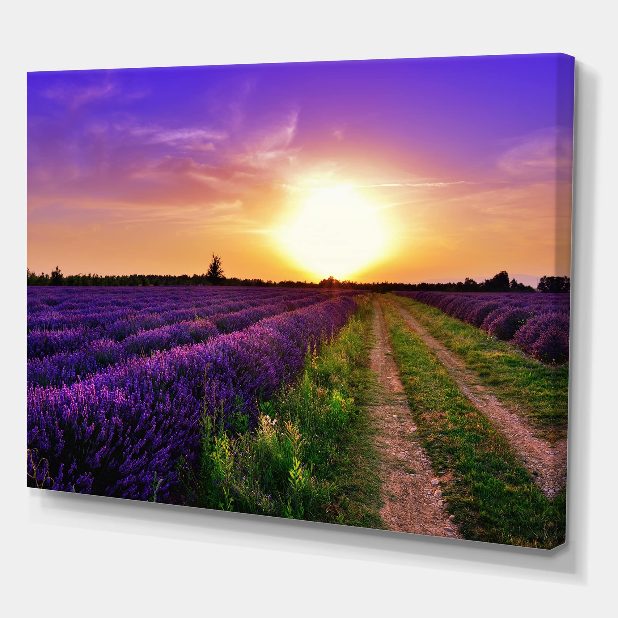 Designart - Lavender Field At Dawn II - Farmhouse Canvas Wall Art Print