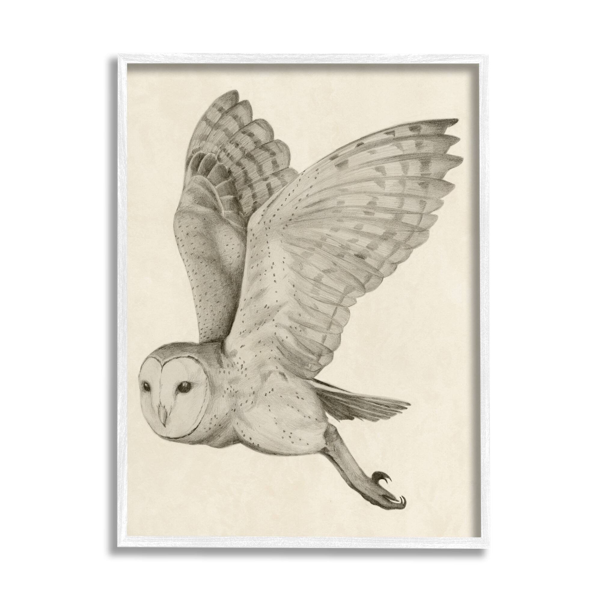 Stupell Industries Flying Barn Owl Wings Detailed Drawing Framed Giclee Art