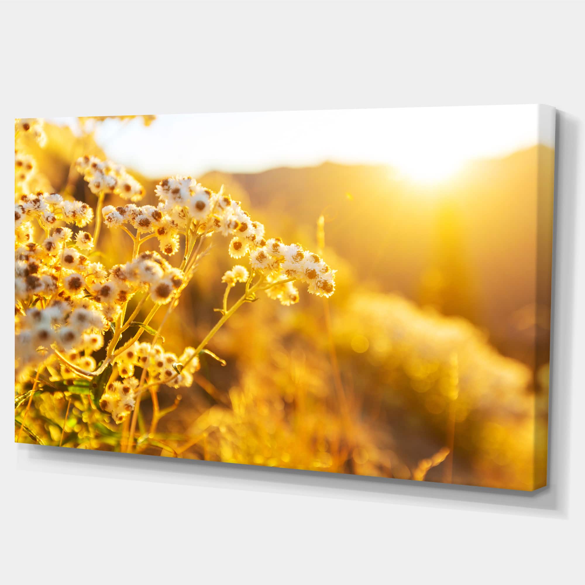 Designart - Bright Yellow Rural Garden Flowers