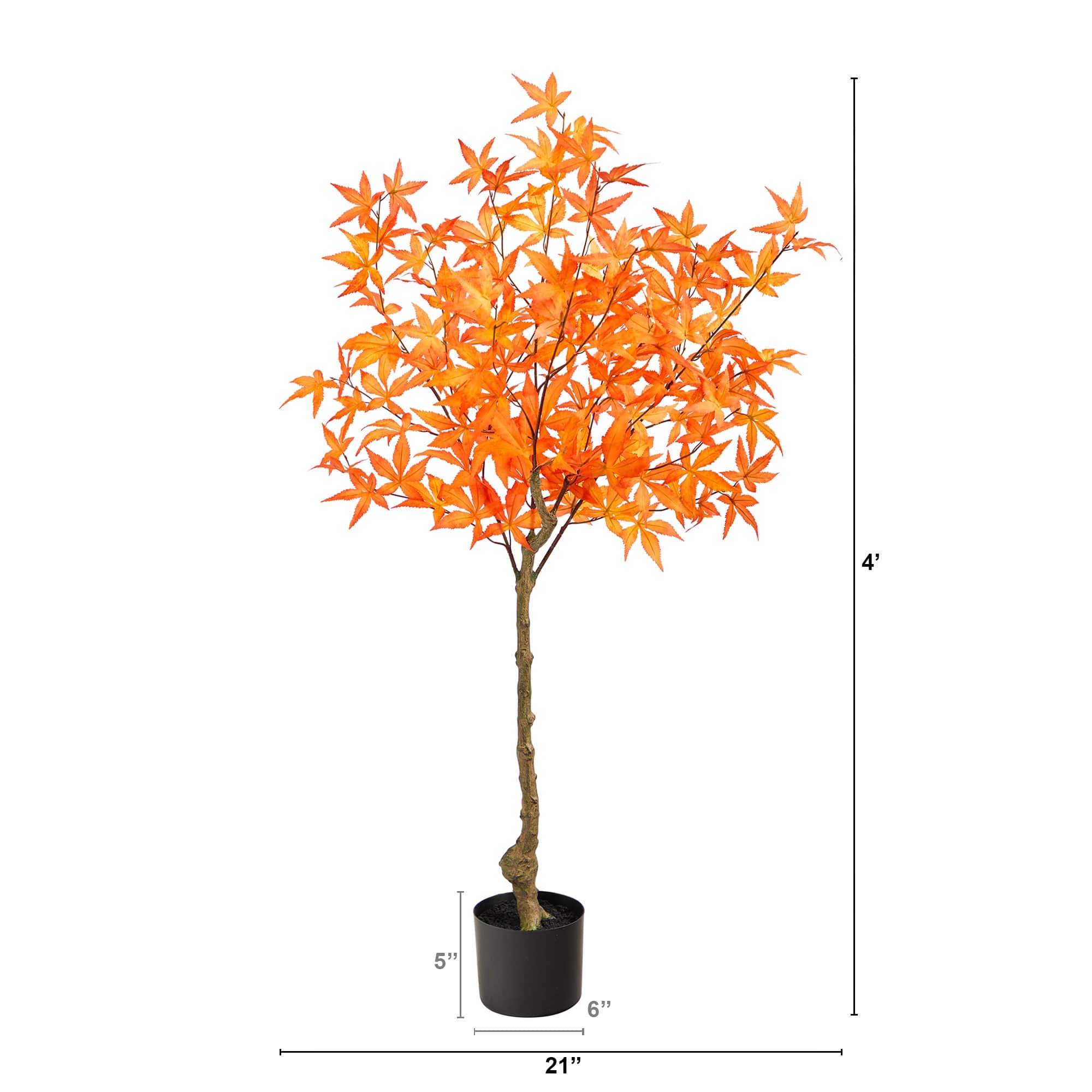 4ft. Potted Orange Autumn Maple Tree