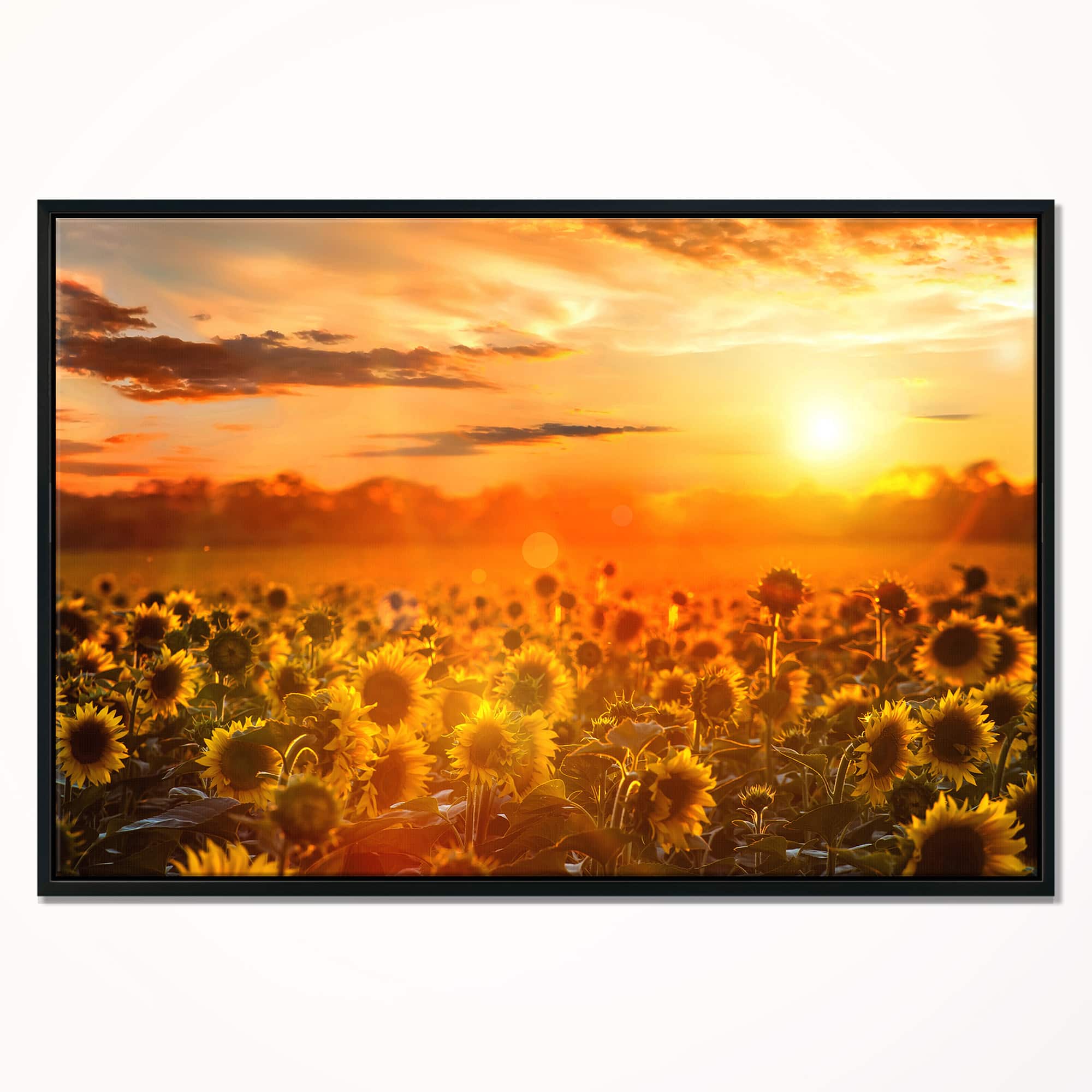 Designart - Yellow Sunset over Sunflowers - Floral Photography Framed Canvas Art