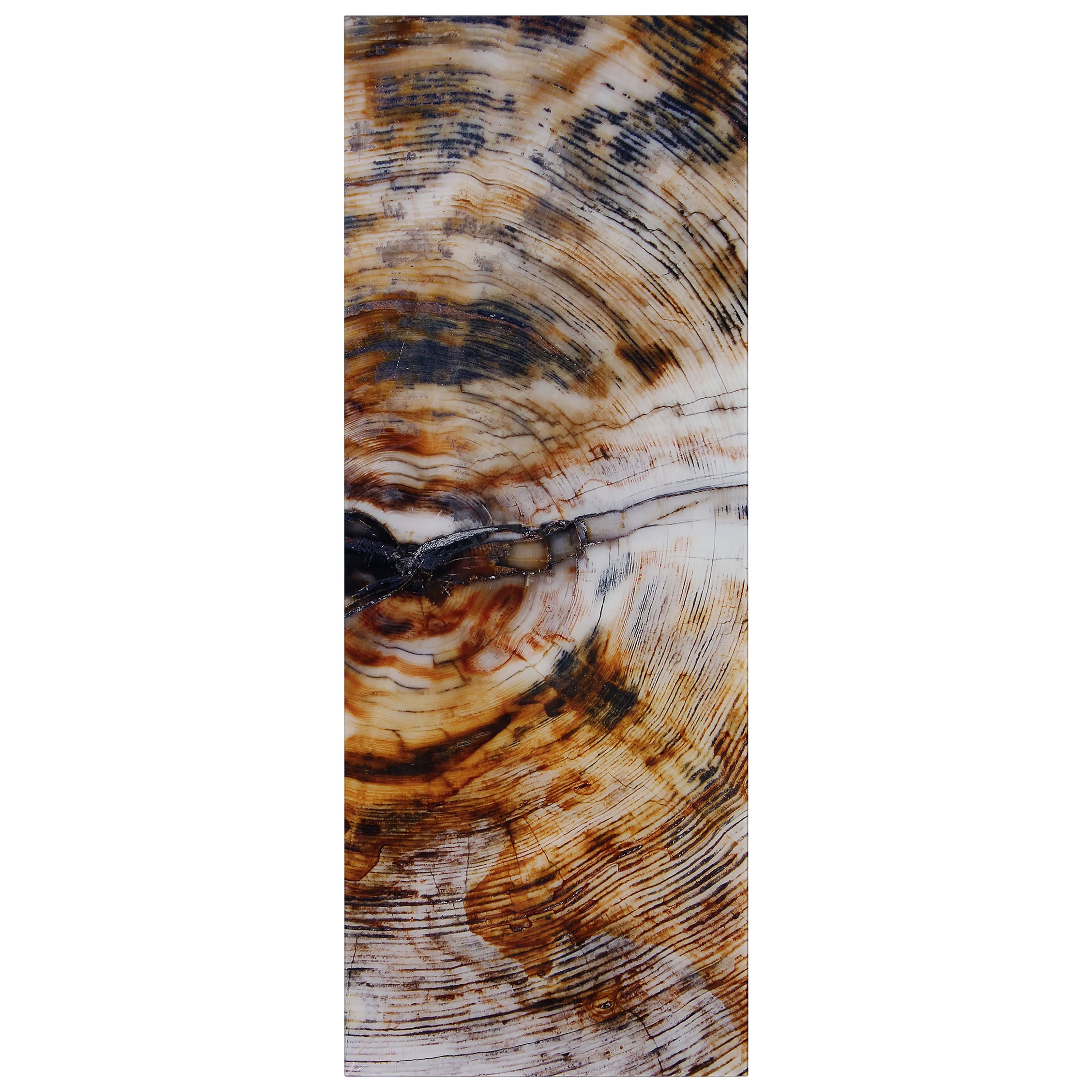 Empire Art Direct 63" x 24" Impact B Free Floating Tempered Glass Wall Art