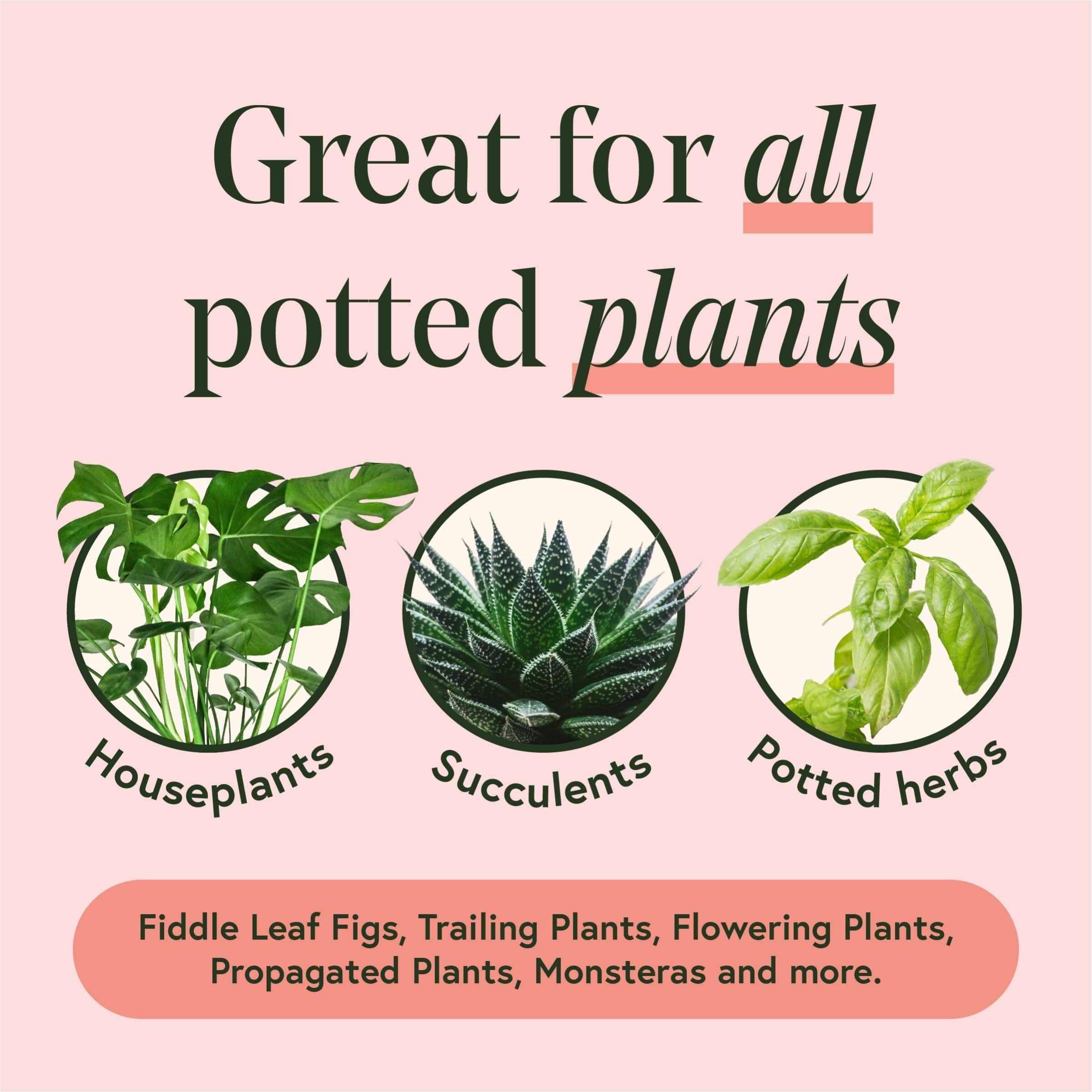 We The Wild™ Proud Plant Mum Leaf Care Kit