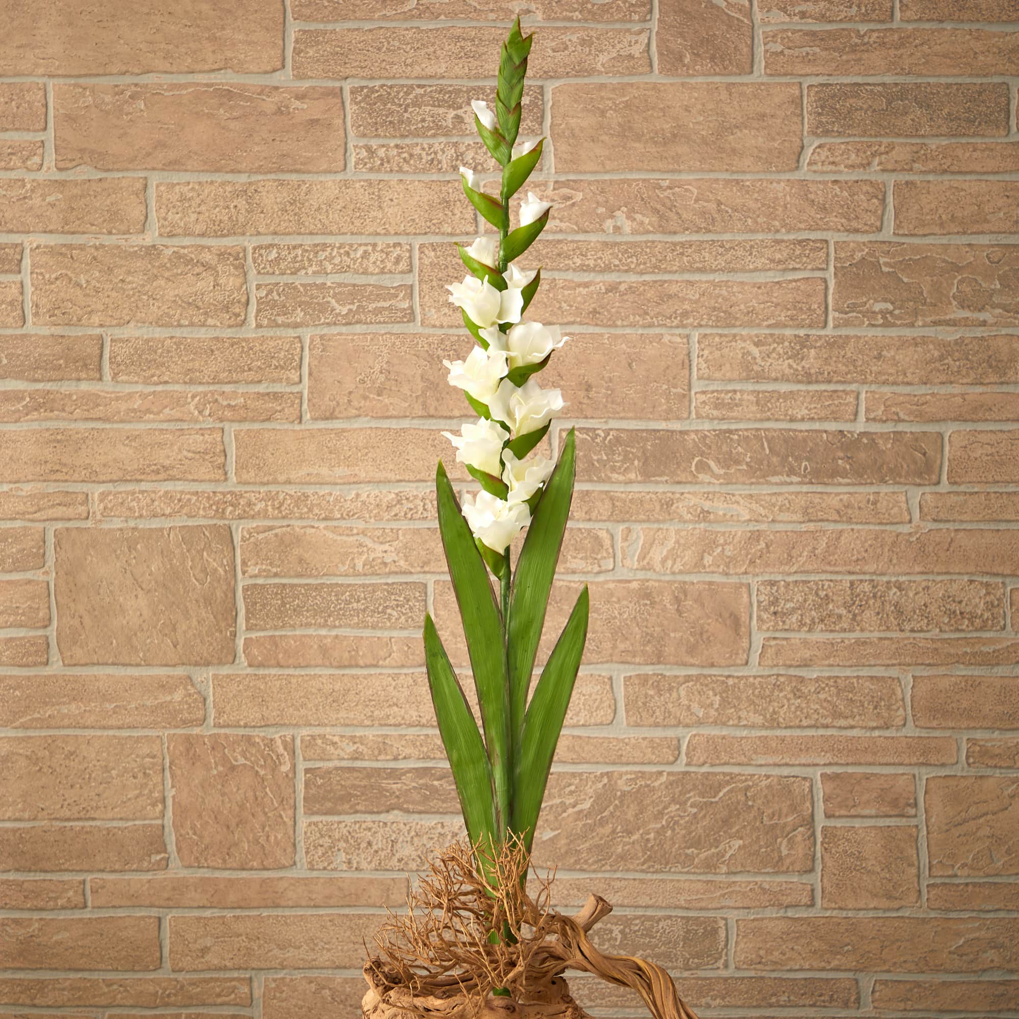 White Gladiolus Flower Stems, 3ct.