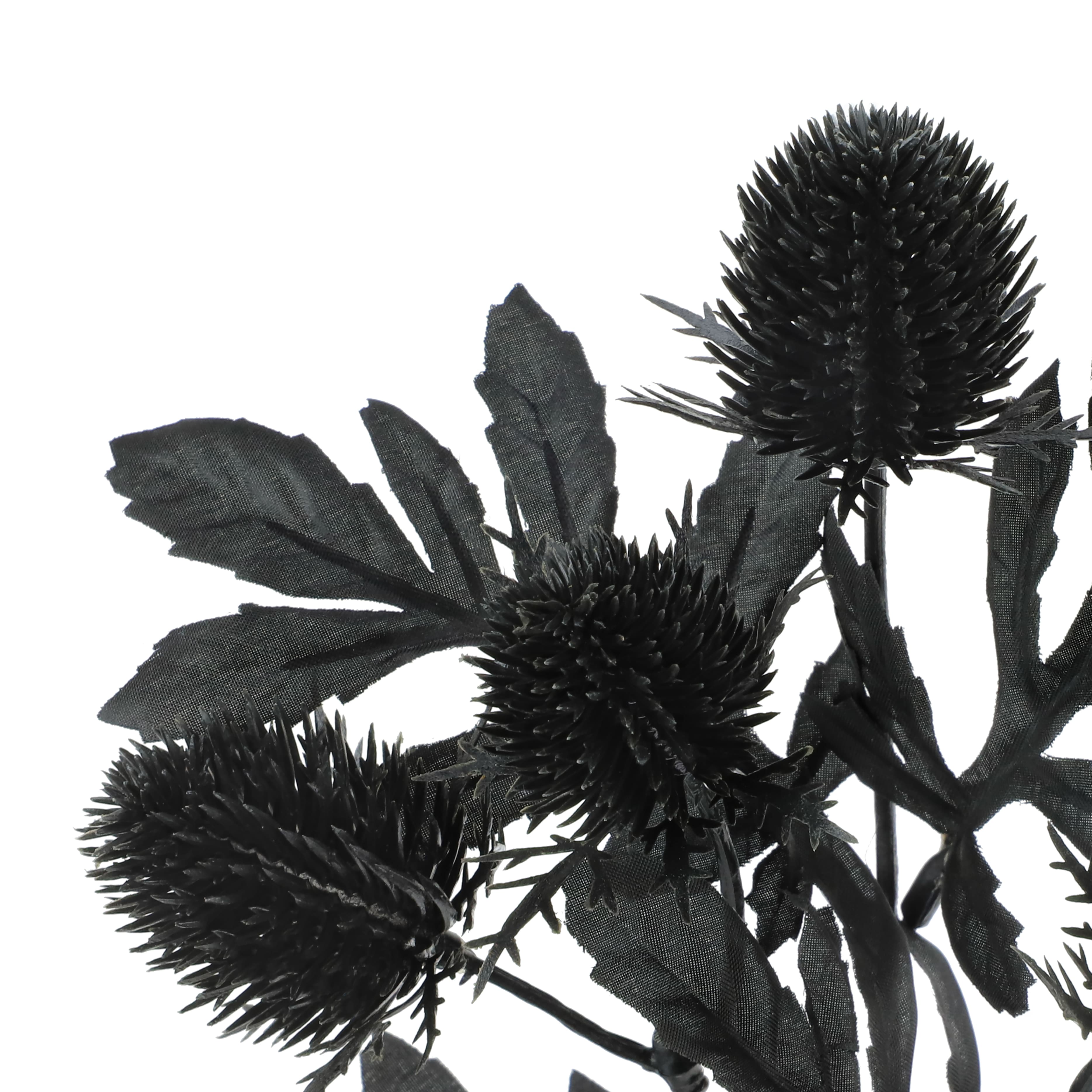 10" Black Thistle Pick by Ashland®