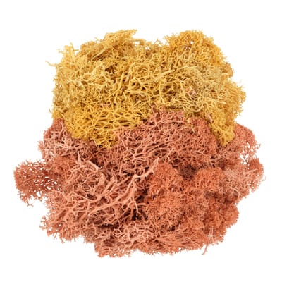 1.7oz. Moss Mix by Ashland®, Color: Cream | Michaels