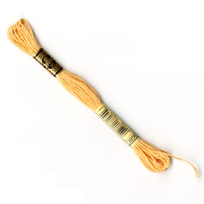 DMC® 6 Strand Embroidery Floss, Orange image
