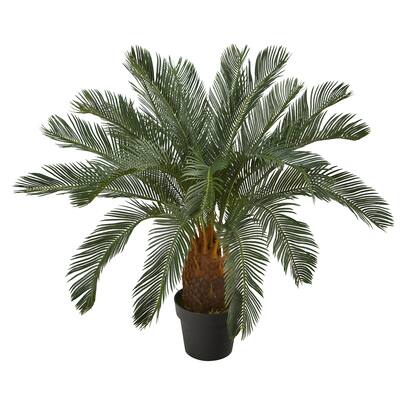 3ft. Potted Cycas Tree | Michaels