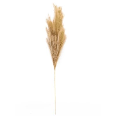 Wispy Pampas Grass Stem by Ashland® image