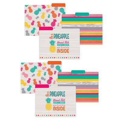 Teacher Created Resources Tropical Punch File Folders, 2 Packs of 12 ...