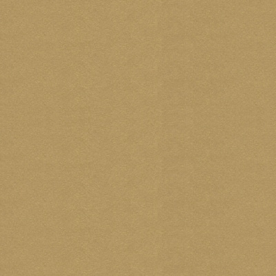 Solid Metallic Paper by Recollections®, 12" x 12" image