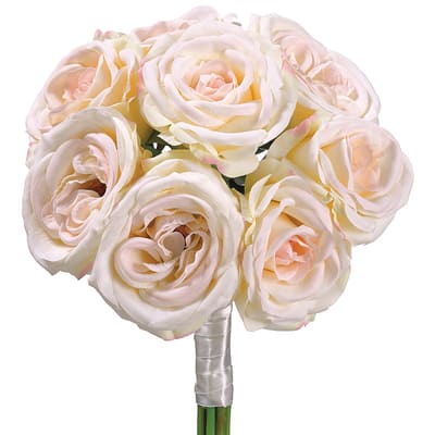 Blush Rose Bundle | Michaels