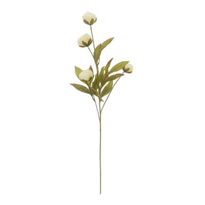 Cream Peony Stem by Ashland® image