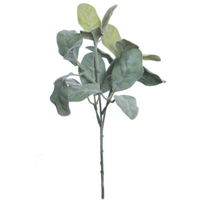 10" Green Lamb's Ear Pick by Ashland® image
