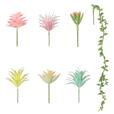 Succulent Mix by Ashland® image