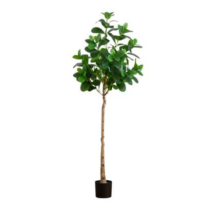6ft. Artificial Audrey Ficus Tree | Michaels