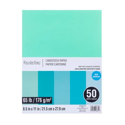 Papier cartonné de 21,5 cm x 27,9 cm 176 g/m² de Recollections, 50 feuilles image