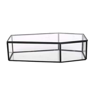 Terrarium en verre transparent en forme de cercueil avec couvercle d’Ashland image