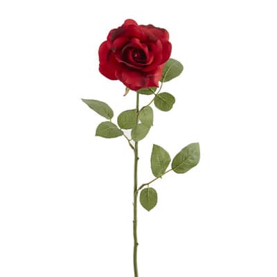 Princess Rose by Ashland® image