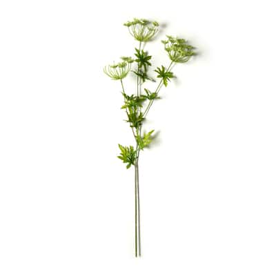 Light Green Queen Anne's Lace Spray by Ashland® image