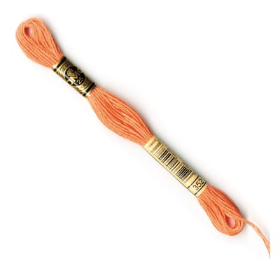 DMC® 6 Strand Embroidery Floss, Pink image