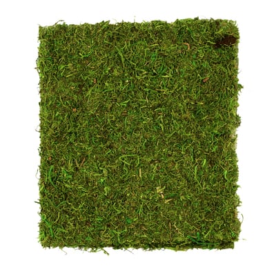 Moss Mat by Ashland® image