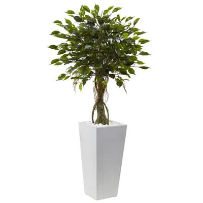 4.5ft. Potted Ficus Tree in Decorative White Planter | Michaels