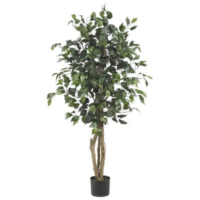4ft. Potted Ficus Tree | Michaels