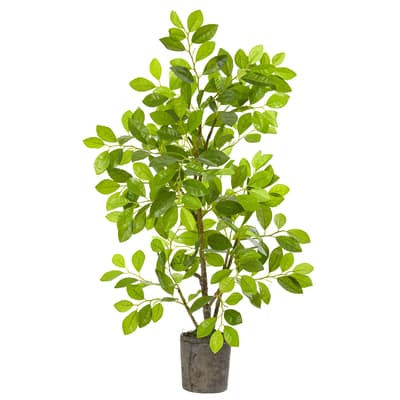 3ft. Ficus Tree in Faux Concrete Planter | Michaels