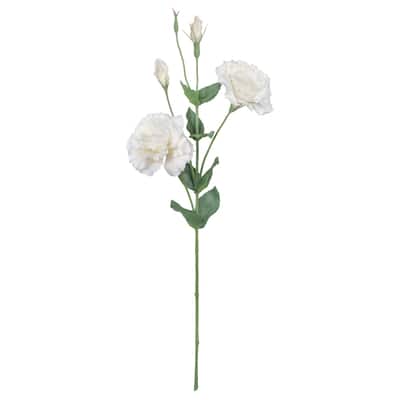 27" Lisianthus  Stem by Ashland® image