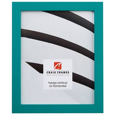 Craig Frames Confetti Teal Blue Picture Frame, Size: 13