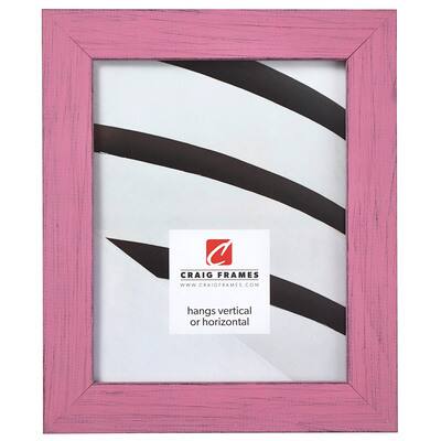 Craig Frames Jasper Petticoat Pink Picture Frame, Size: 20