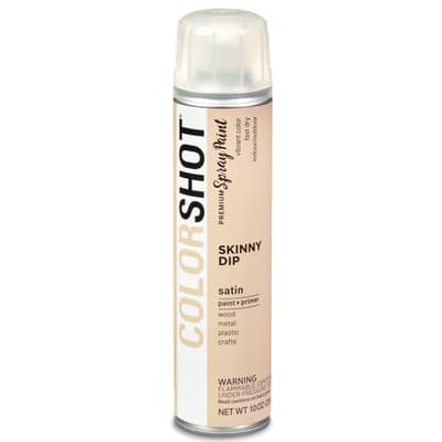 COLORSHOT® Premium Satin Spray Paint image