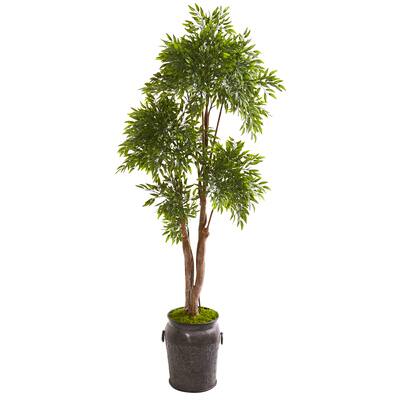 7ft. Ruscus Tree in Planter | Michaels