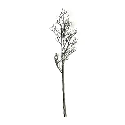 Black Bare Branch Stem by Ashland® image