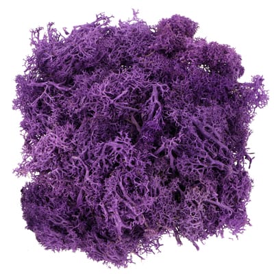 1.7oz. Halloween Moss by Ashland® image