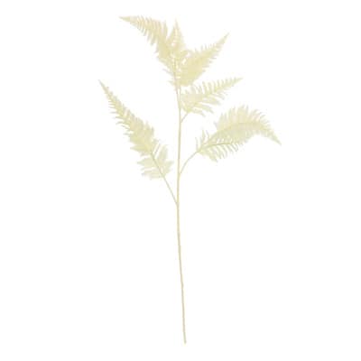 Cream Fern Stem by Ashland® image