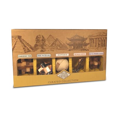 True Genius Brain Teaser Curated Collection | Michaels