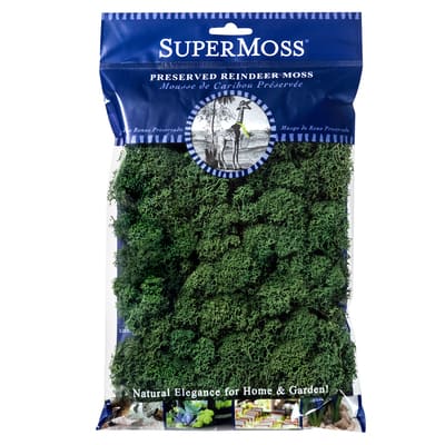 SuperMoss® Preserved Reindeer Moss, Forest image