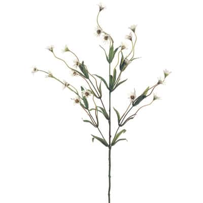 Cream Wild Daisy Spray by Ashland® image
